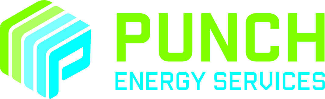 Punch-ES-logo